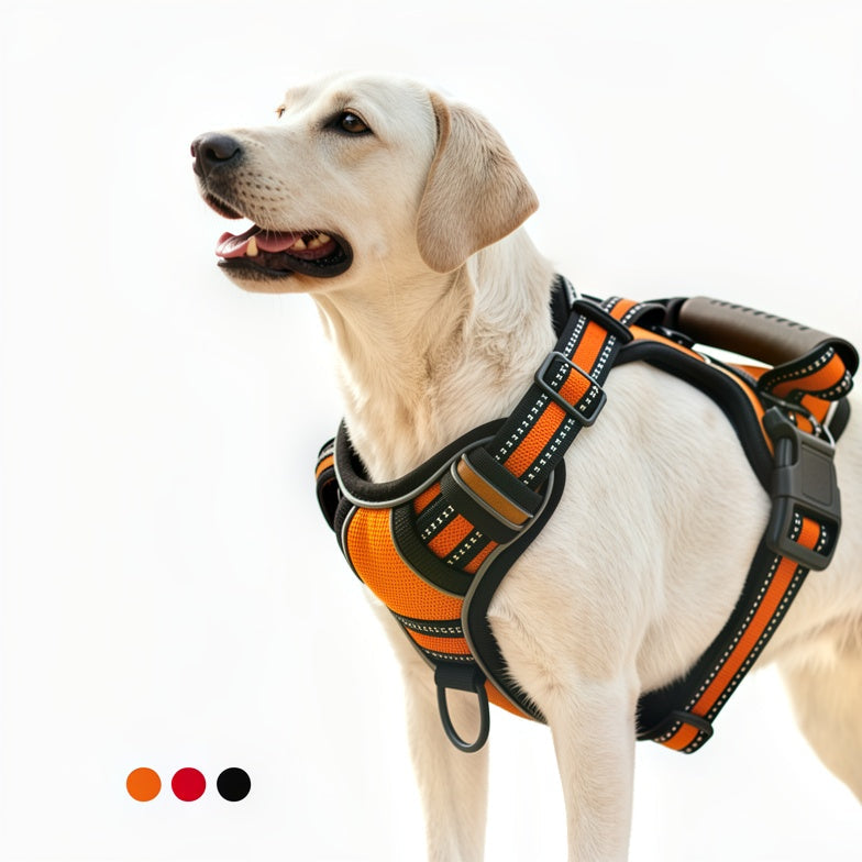 Pet Travel & Outdoor